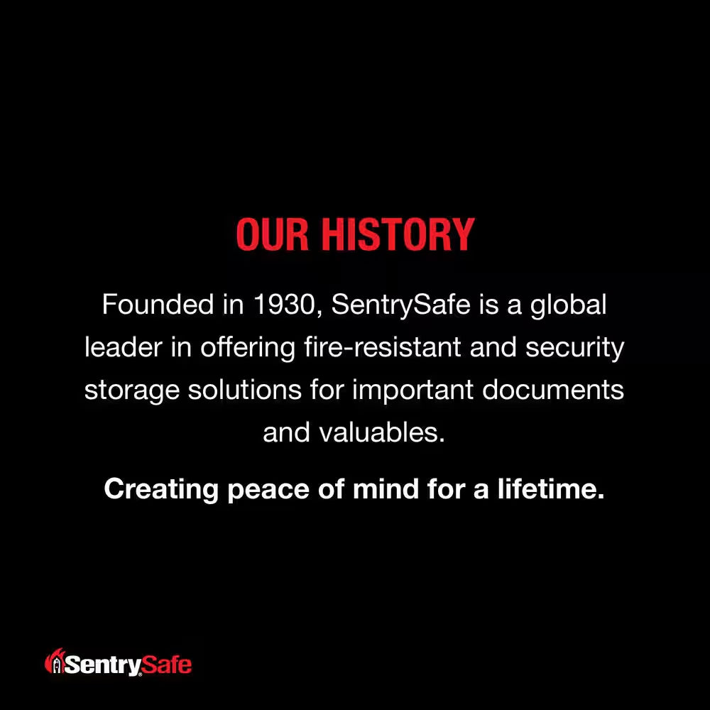 0.28 Cu. Ft. Fireproof & Waterproof Safe Box